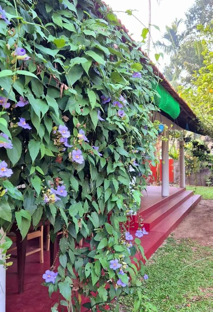 Sandra Martha Villa Mararikulam
